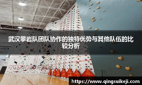 武汉攀岩队团队协作的独特优势与其他队伍的比较分析